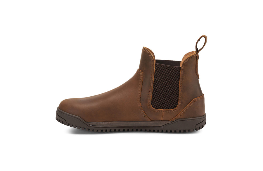 Xero Ridgeway Chelsea Men's - Dark Brown