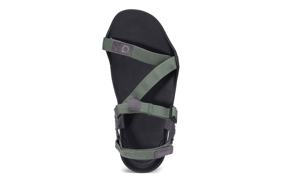 Xero Z-Trek Men's Forest